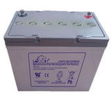 Аккумуляторная батарея Leoch LPG 12-50