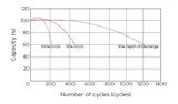 Аккумуляторная батарея YELLOW AB 12-2,5